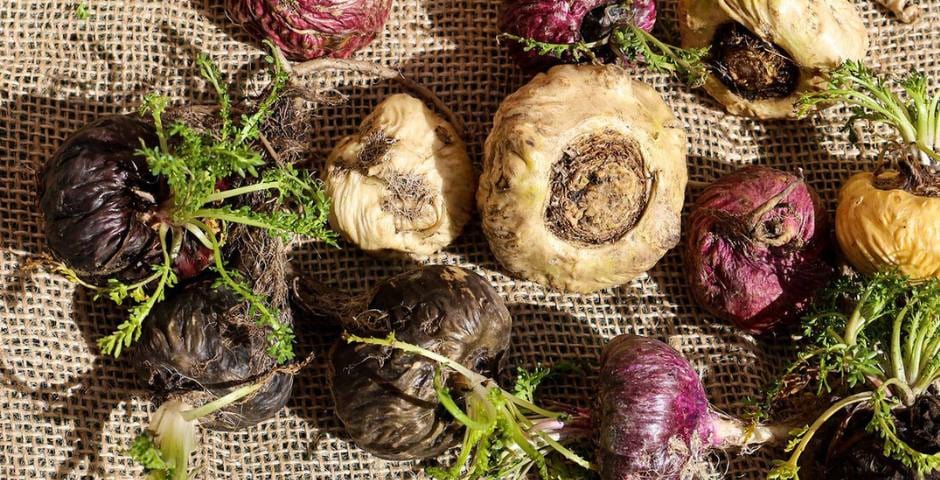 Ashwagandha, Maca, Shilajit: Adaptogens for stress, energy and immunity