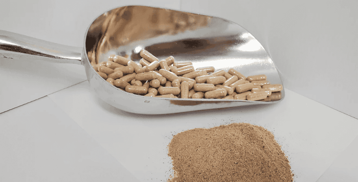 Akuamma Fieber Schmerzlinderung Artikel Kratom World