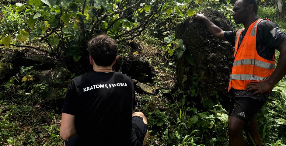 The Journey to the Kava Kava Farm: Report from Fiji by Kratom World