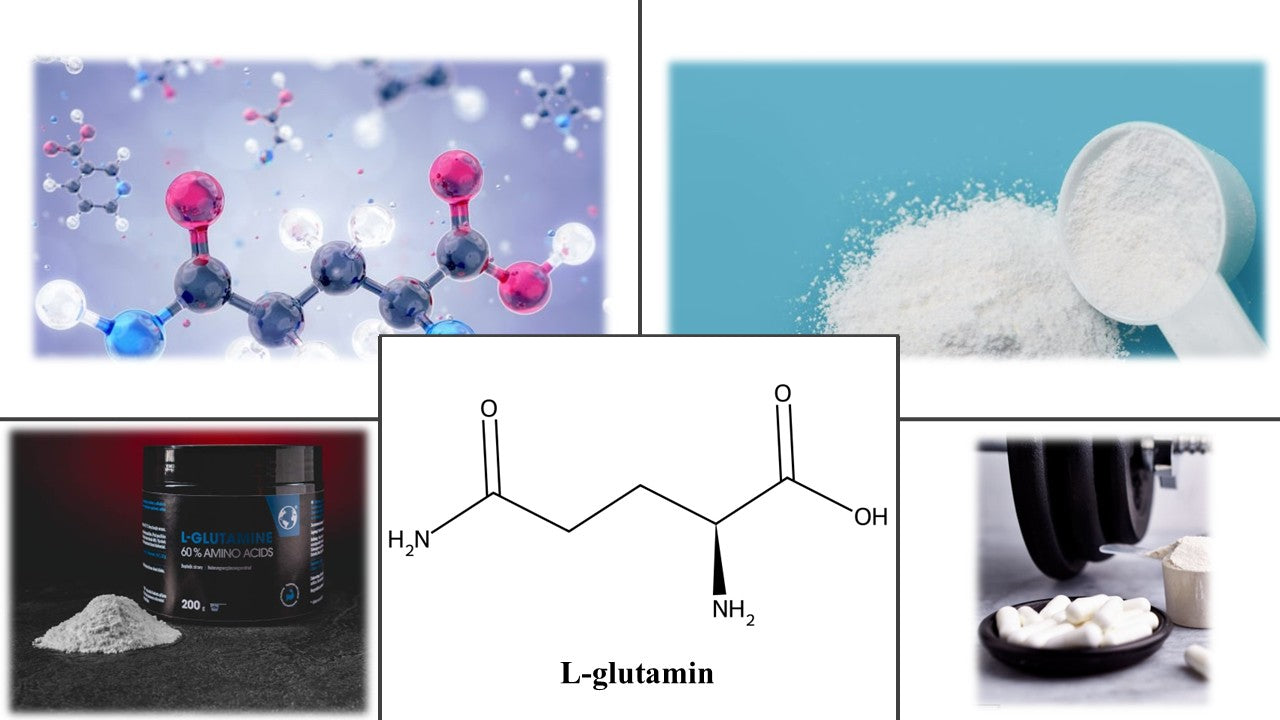 L-Glutamin – Molekülstruktur der Aminosäure, weißes Pulver und Nahrungsergänzungsmittel für die Sporternährung.
