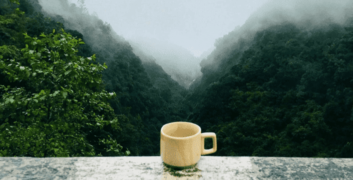 Kratom Tea: All information at a glance