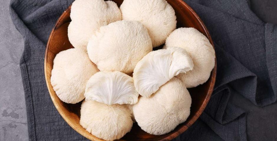 MindBooster and Focus Mushroom Blend: How to improve concentration naturally?