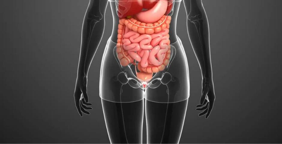 Supporting digestion with natural supplements