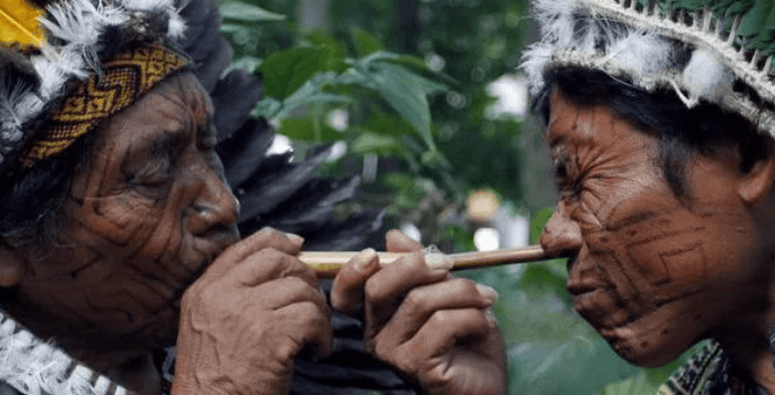 Kratom World Rapé Nicotiana Nicotine Rapé Selling Germany