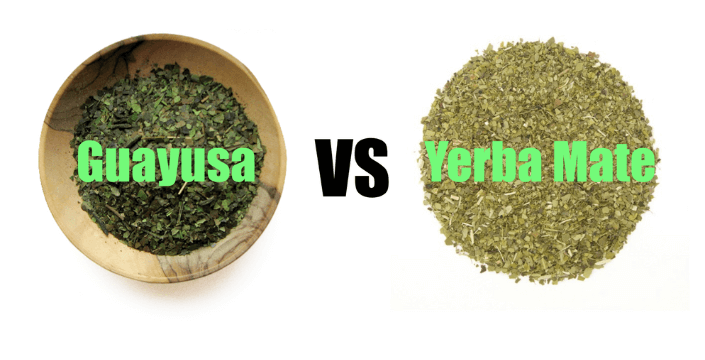 Yerba Maté and Guayusa (Wayusa) and how they differ
