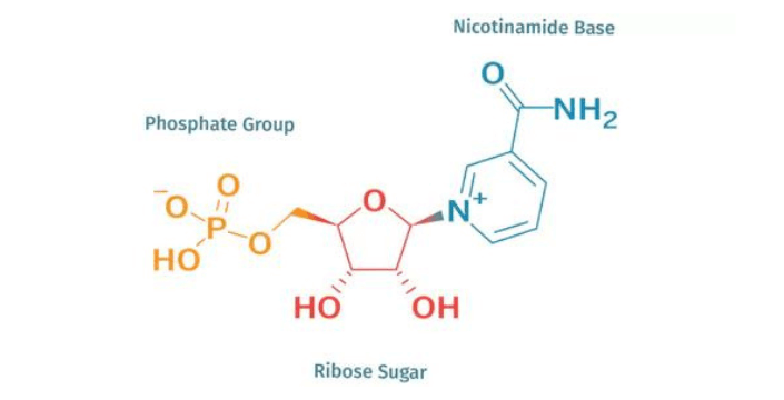 NMN - an anti-aging molecule