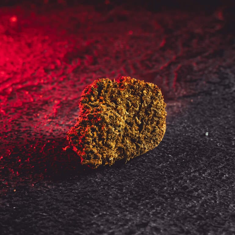 CBD-Blume CBD-Verkauf Prag Kratom CBD-Blumen in Weltqualität Schokoladenbäume Schokoladenbäume Tschechische Republik Blumendetail