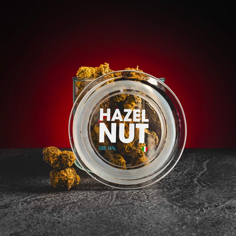 CBD Hazelnut 14%