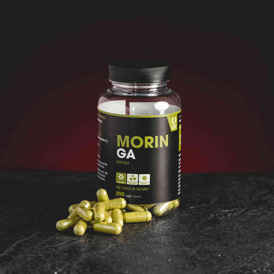 Moringa-Kapseln Kratom World Moringa Wohltuendes Qualitäts-Moringa aus Indonesien Qualität gesunder Körper Immunität Körperfunktion moringa kapseln