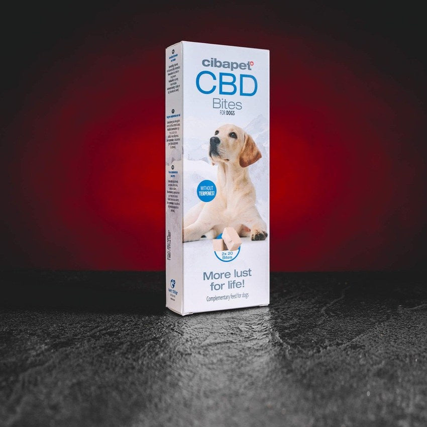CBD Treats for Dogs